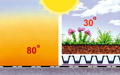 Зменшення температури плоского даху з зеленим покриттям